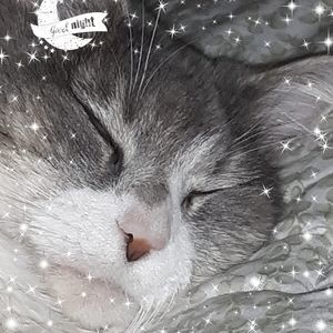 Meet your Posher, Pamela